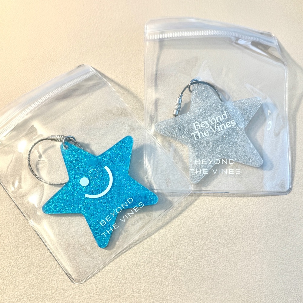 NEW Beyond The Vines Key Star Tags Set of 2 Blue / Silver Bag Accessories